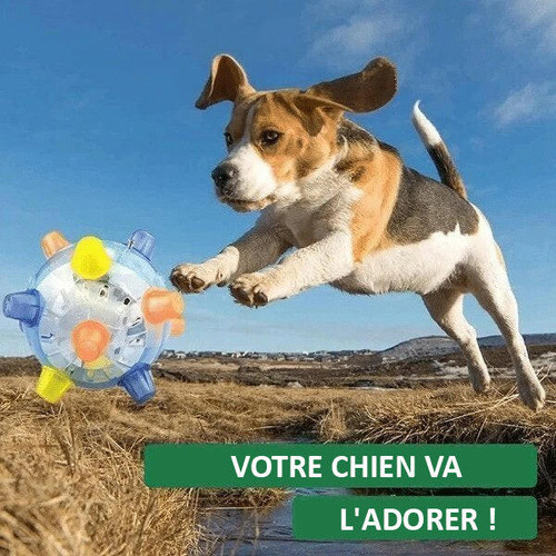 Balle Lumineuse Rebondissante Pour Chien