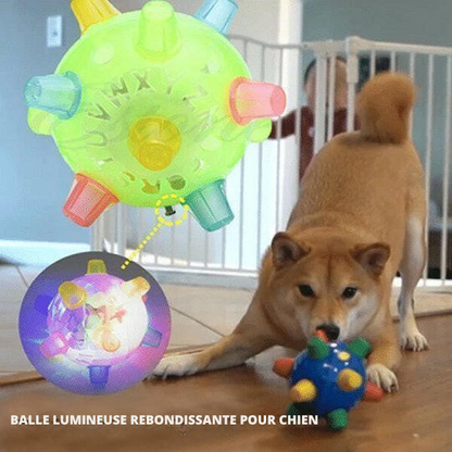 Balle Lumineuse Rebondissante Pour Chien