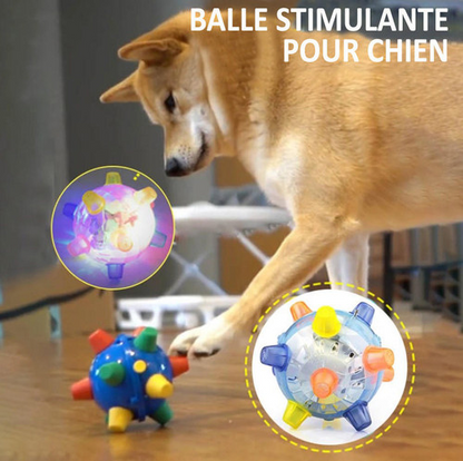Balle Lumineuse Rebondissante Pour Chien
