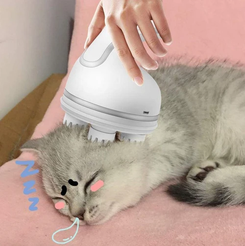 Masseur Pour Chat et chien