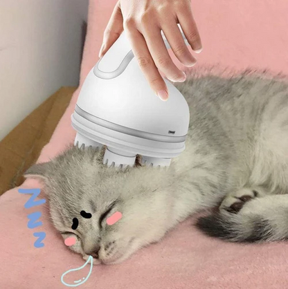 Masseur Pour Chat et chien