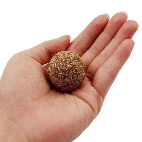 Boule d'herbe à chat
