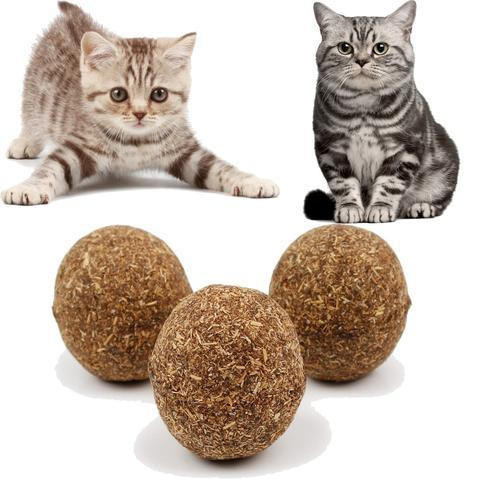 Boule d'herbe à chat