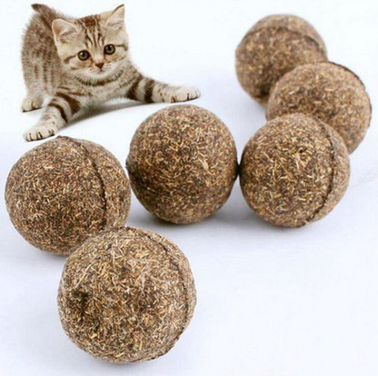 Boule d'herbe à chat
