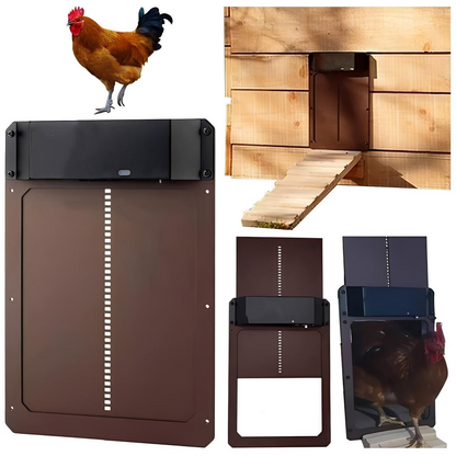 Porte Automatique Pour Poules