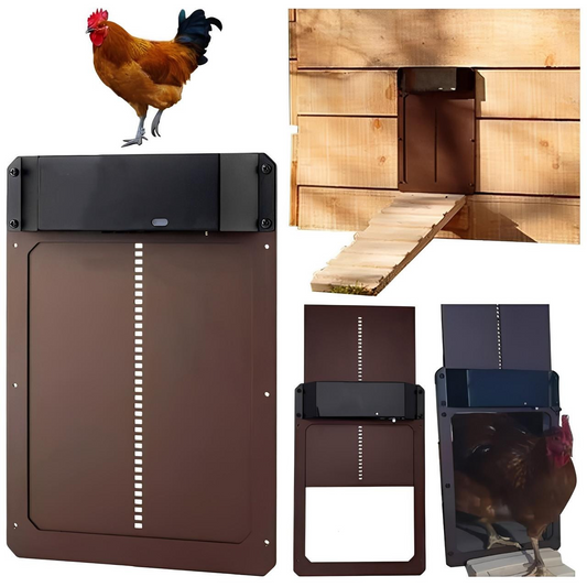 Porte Automatique Pour Poules