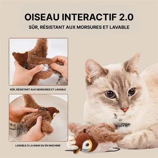 Oiseau Jouet Intéractif Pour Chat Et Chaton