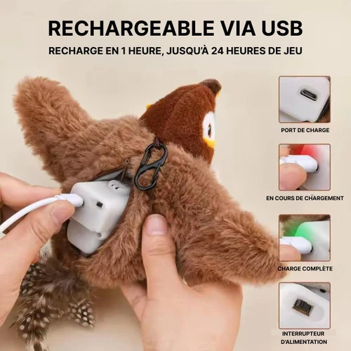 Oiseau Jouet Intéractif Pour Chat Et Chaton