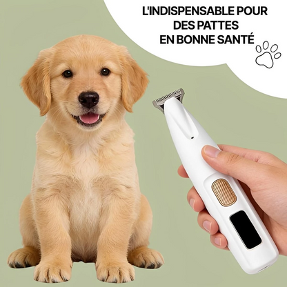 Tondeuse Pour Pattes De Chien Électrique Silencieuse