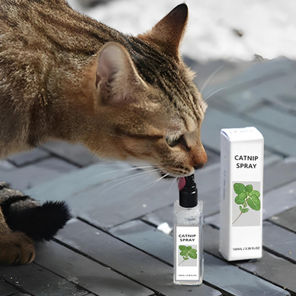 Spray Herbe À Chat Naturel