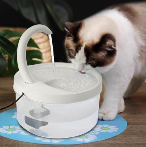Fontaine À Eau Automatique Pour Chat