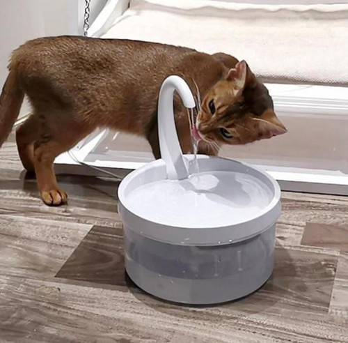 Fontaine À Eau Automatique Pour Chat