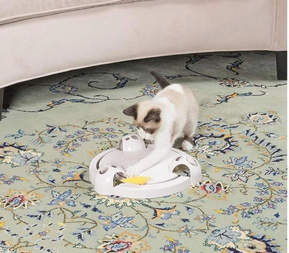 Jouet Souris Interactif Pour Chat