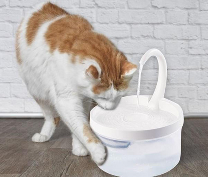 Fontaine À Eau Automatique Pour Chat