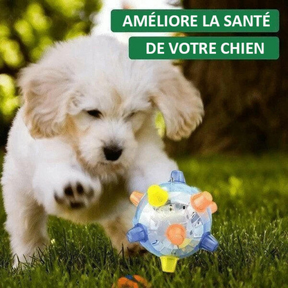 Balle Lumineuse Rebondissante Pour Chien