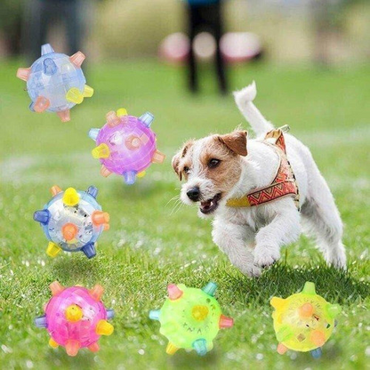 Balle Lumineuse Rebondissante Pour Chien