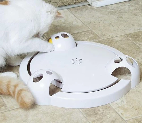Jouet Souris Interactif Pour Chat