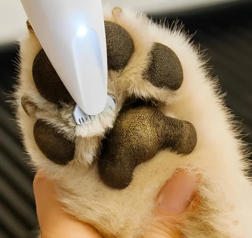 Tondeuse Pour Pattes De Chien Électrique Silencieuse