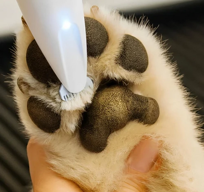 Tondeuse Pour Pattes De Chien Électrique Silencieuse