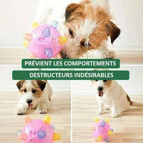 Balle Lumineuse Rebondissante Pour Chien