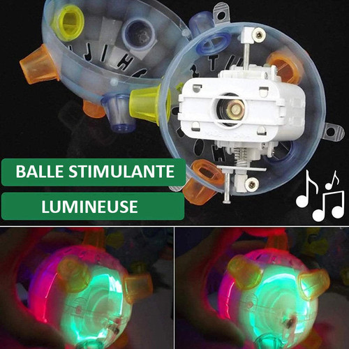 Balle Lumineuse Rebondissante Pour Chien