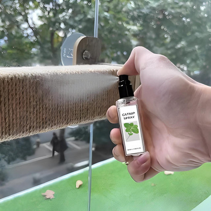 Spray Herbe À Chat Naturel